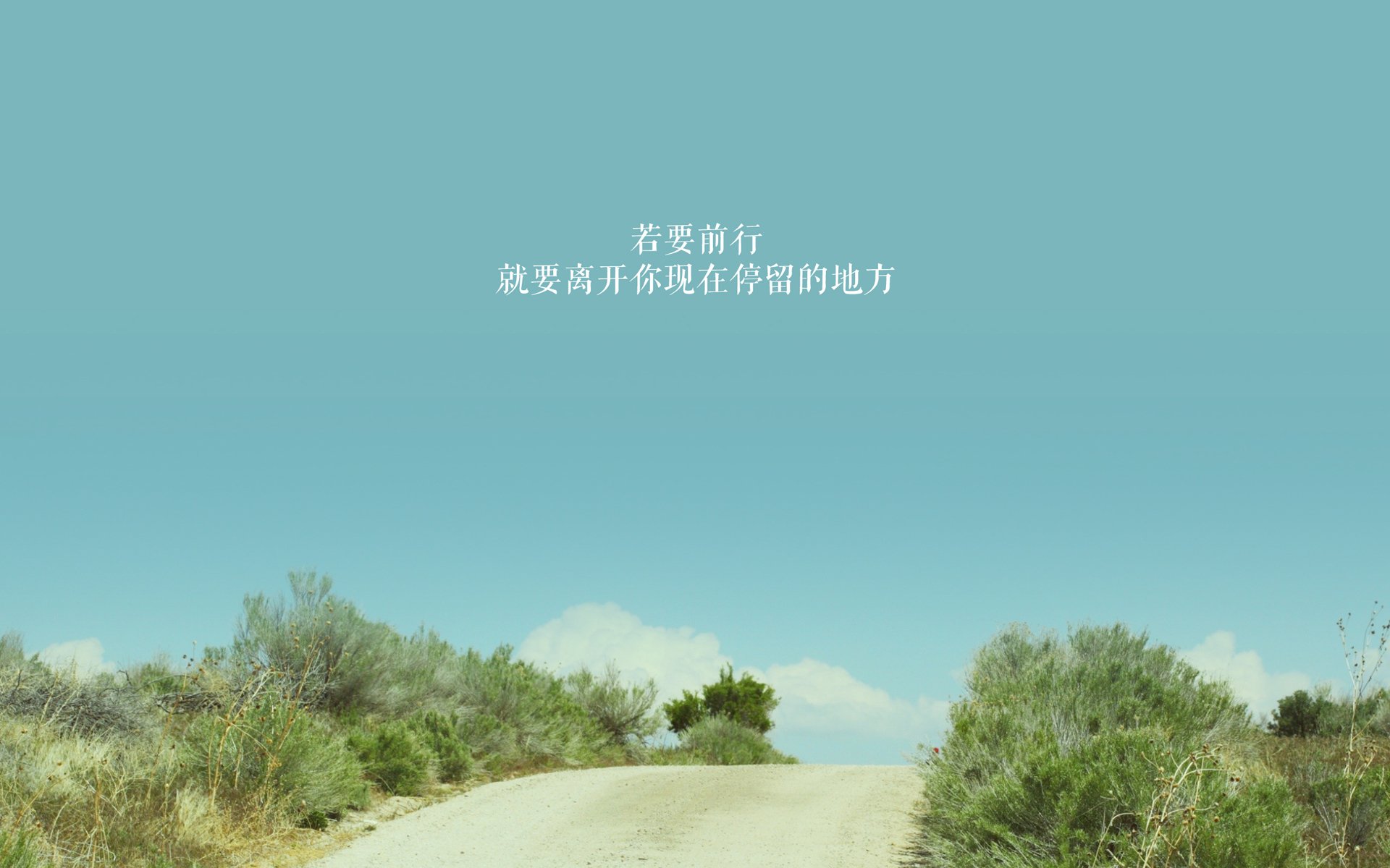 光荣与梦想:NBA明星们的平凡日常