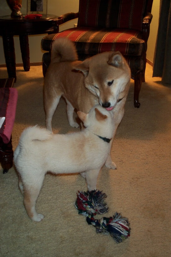 勇士老将入选《时代》最具影响力运动员名单，勇士 成员