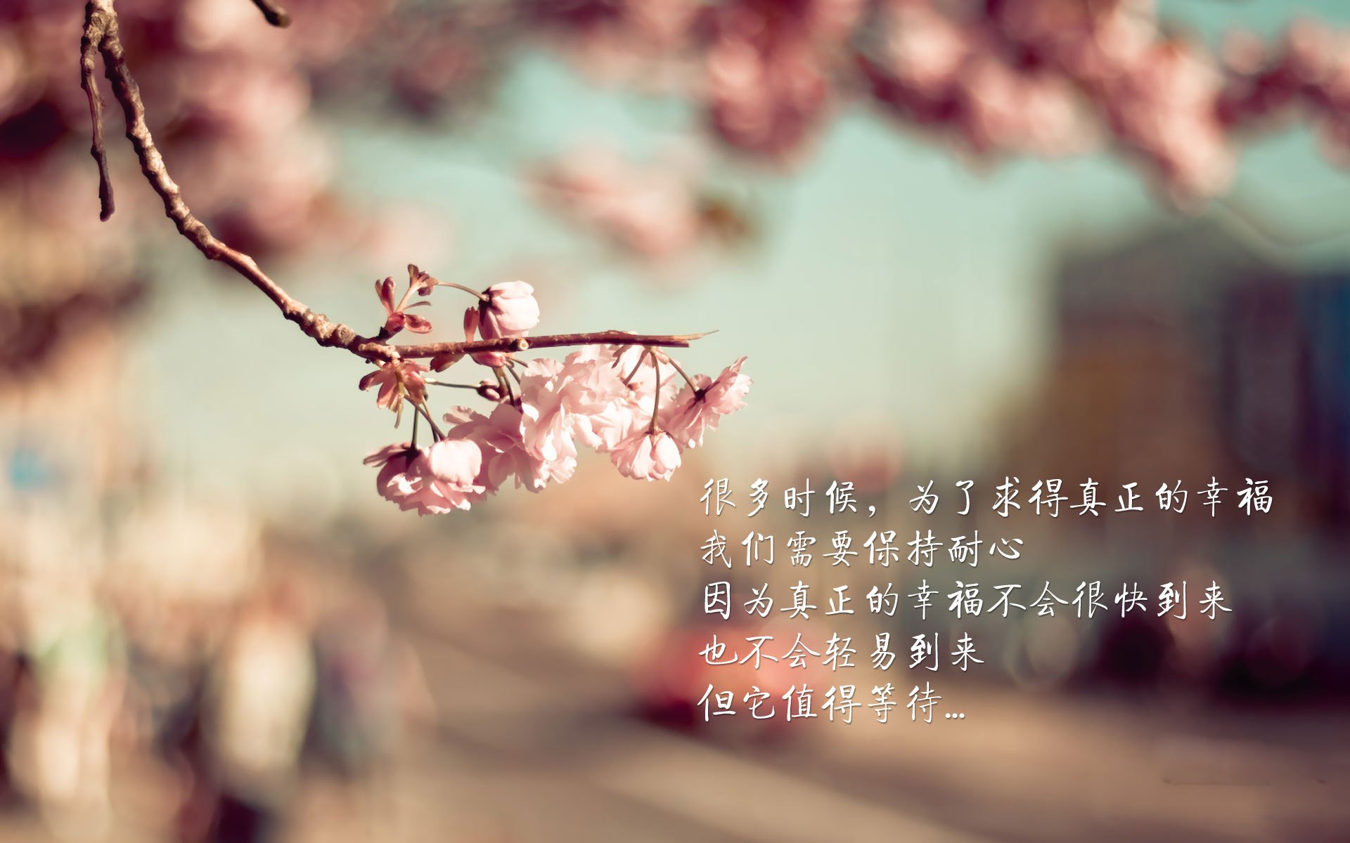 “明星投手再创奇迹,完美无失分助力球队升至榜首”