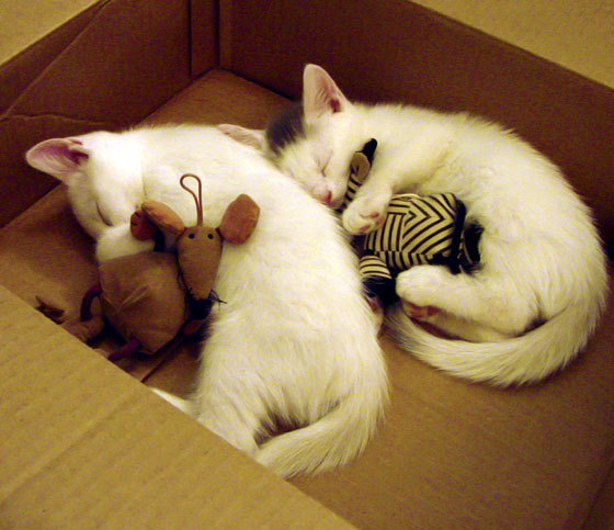 小组赛收官战:法国1-1憾平,出线未果,法国队小组赛